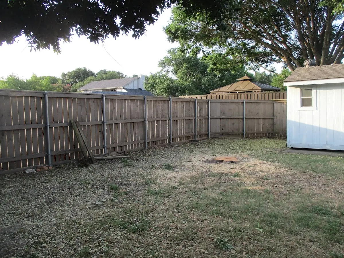 Cleared yard after professional tree removal in Church Rock