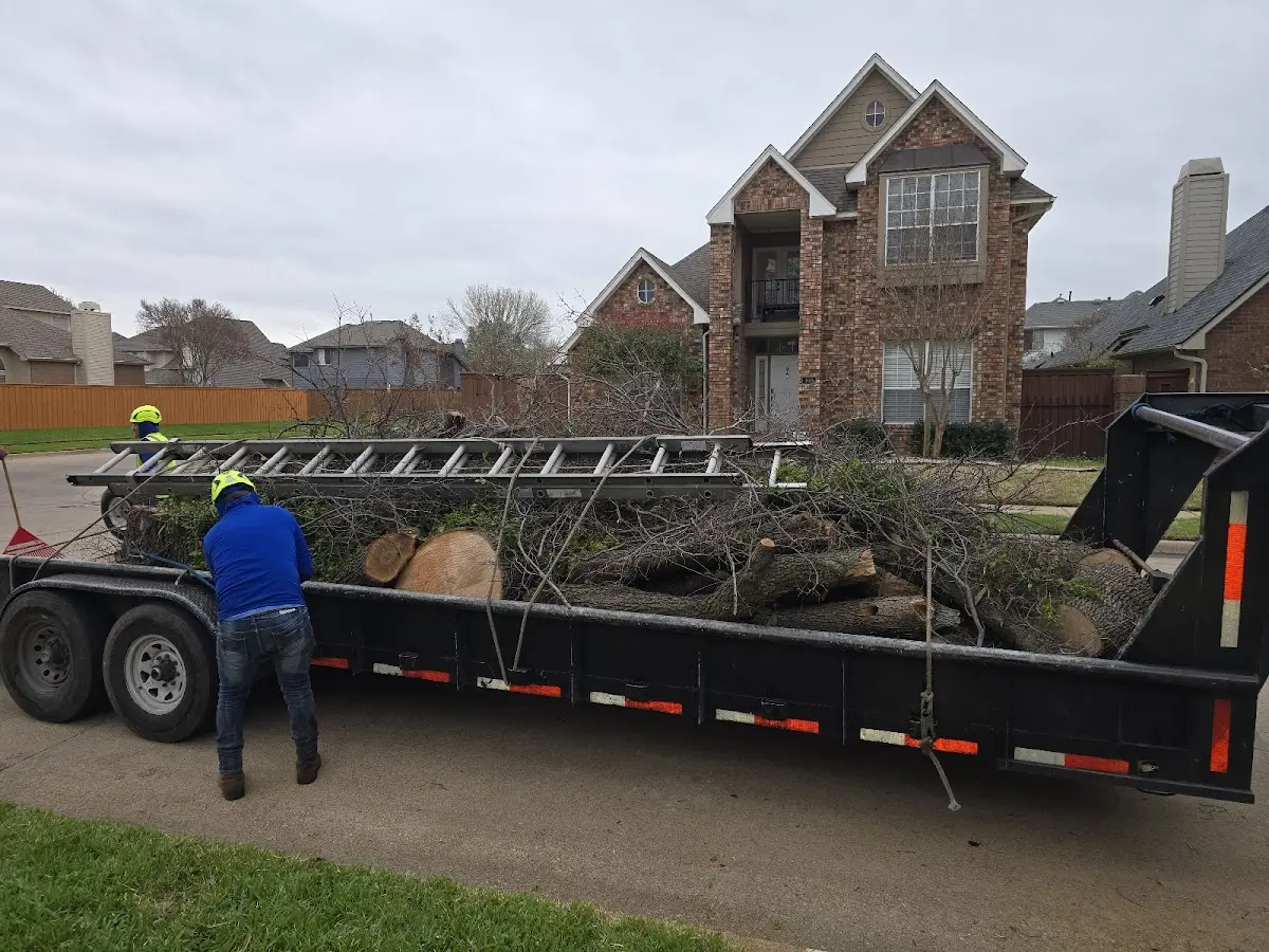Expert Tree Fertilization with proper safety equipment in Church Rock